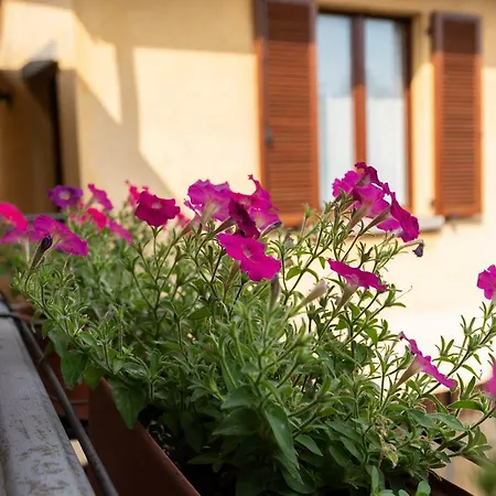 招待所 Maison Ancienne - Self Check-in 3*